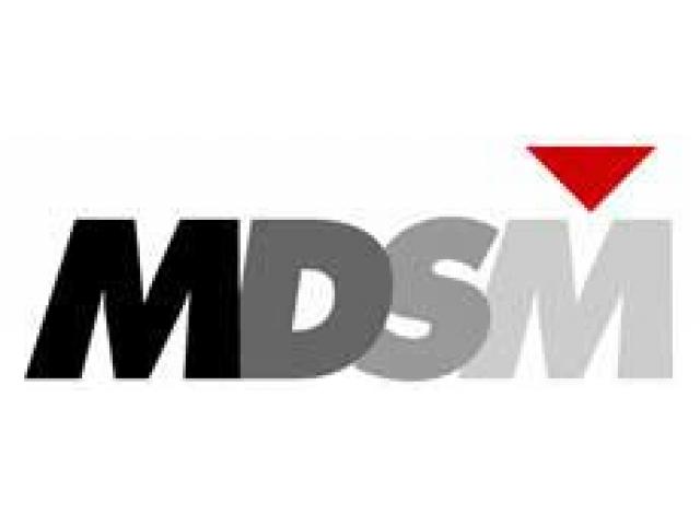 MDSM Consulting